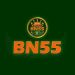 bn55
